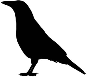 crow